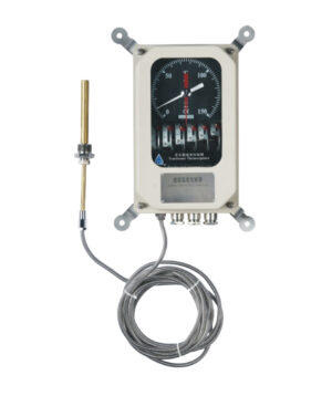 BWR Series Winding Temperature Indicator