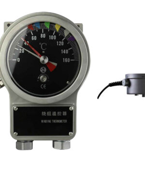 BWR-6 Series Winding Temperature Controller