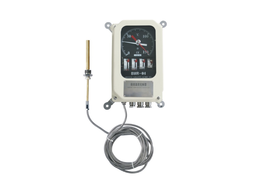 BWR Series Winding Temperature Indicator - 图片 2