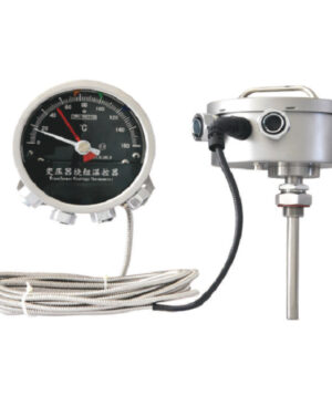 BWR2-04 (TH) Series Transformer Winding Thermometer