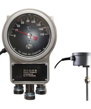 BWR-4 Series Winding Temperature Controller